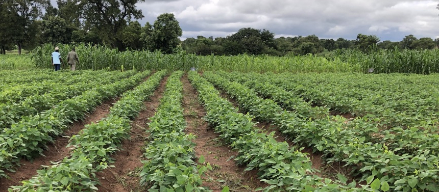 Data Research and Community-Led Planning