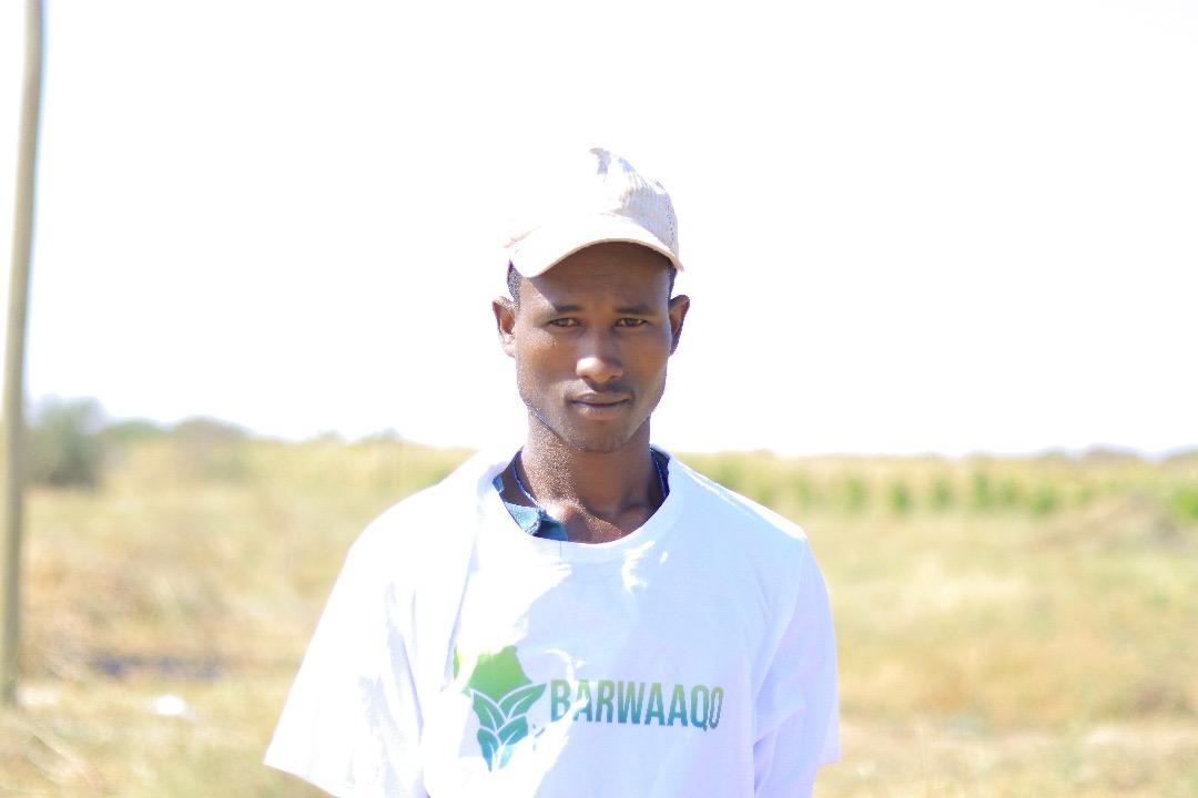 Image gallery marquee