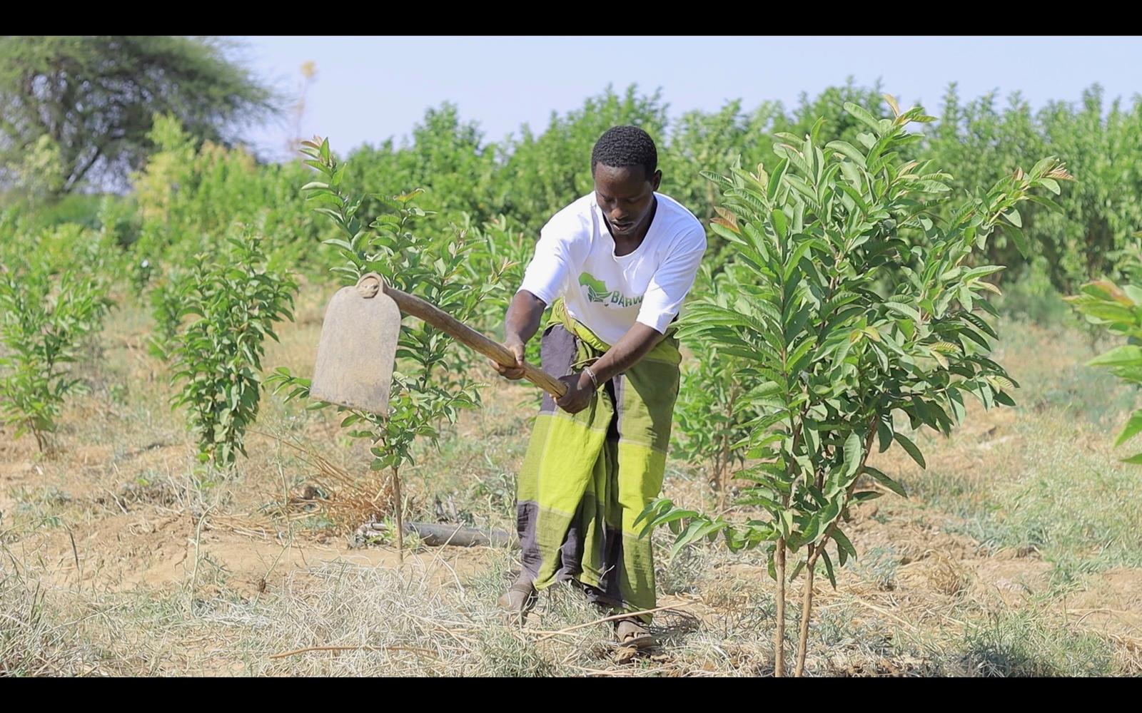 WhatsApp Image 2025-12-16 at 3.45.40 PM (4) WhatsApp Image 2025-12-16 at 3.45.40 PM (4)