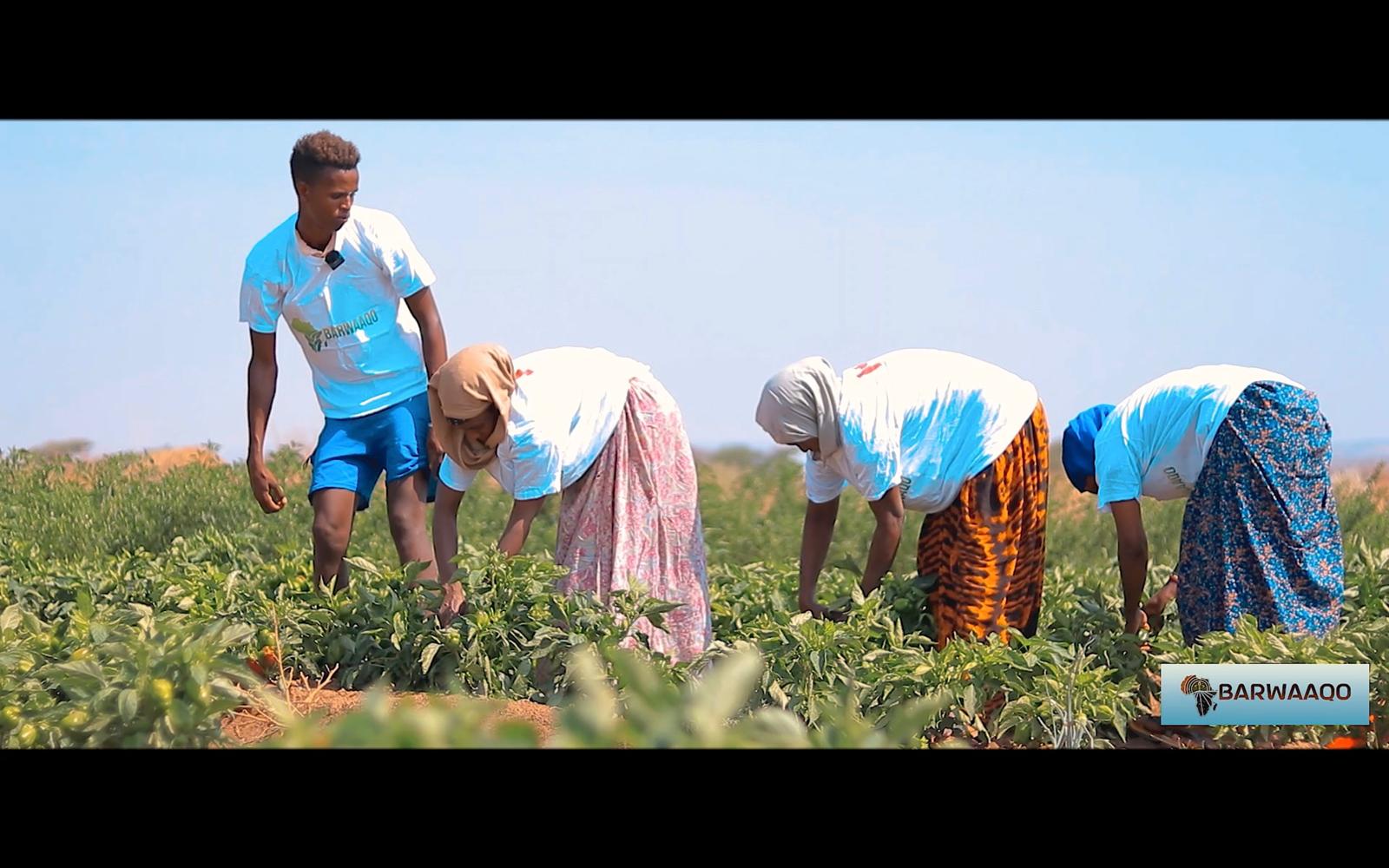 WhatsApp Image 2025-12-16 at 3.45.40 PM (7) WhatsApp Image 2025-12-16 at 3.45.40 PM (7)