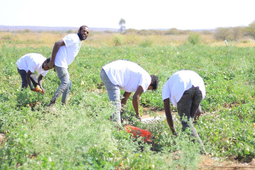 WhatsApp Image 2025-12-16 at 3.45.40 PM WhatsApp Image 2025-12-16 at 3.45.40 PM