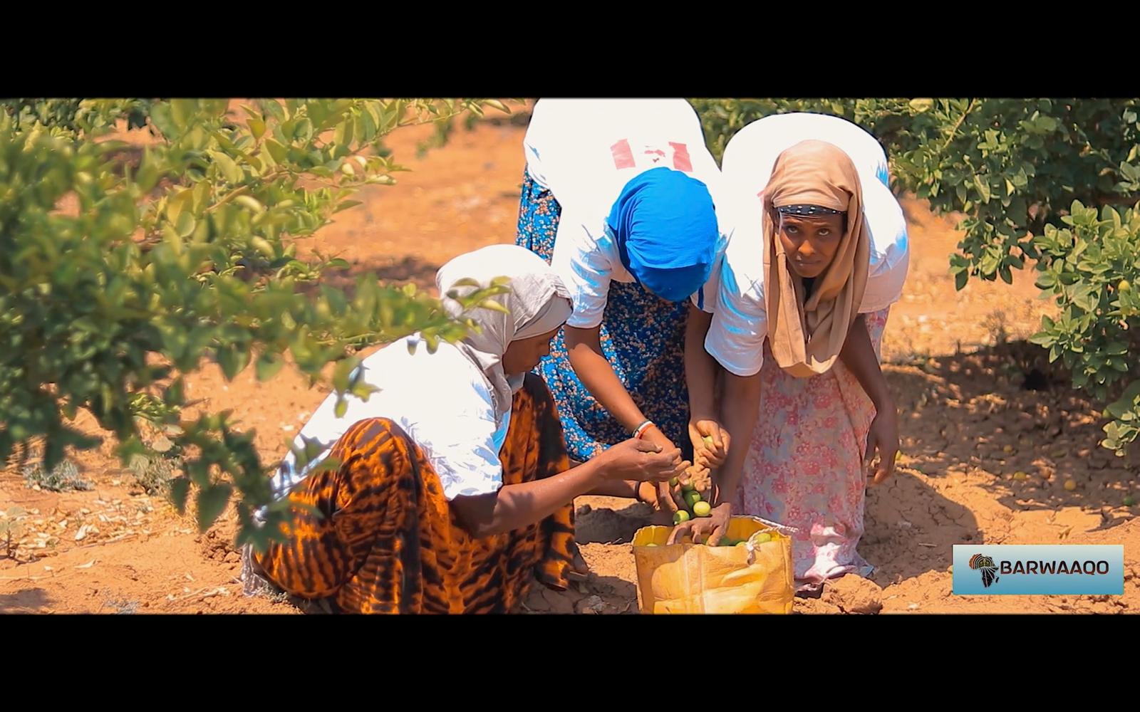 WhatsApp Image 2025-12-16 at 3.45.41 PM (1) WhatsApp Image 2025-12-16 at 3.45.41 PM (1)